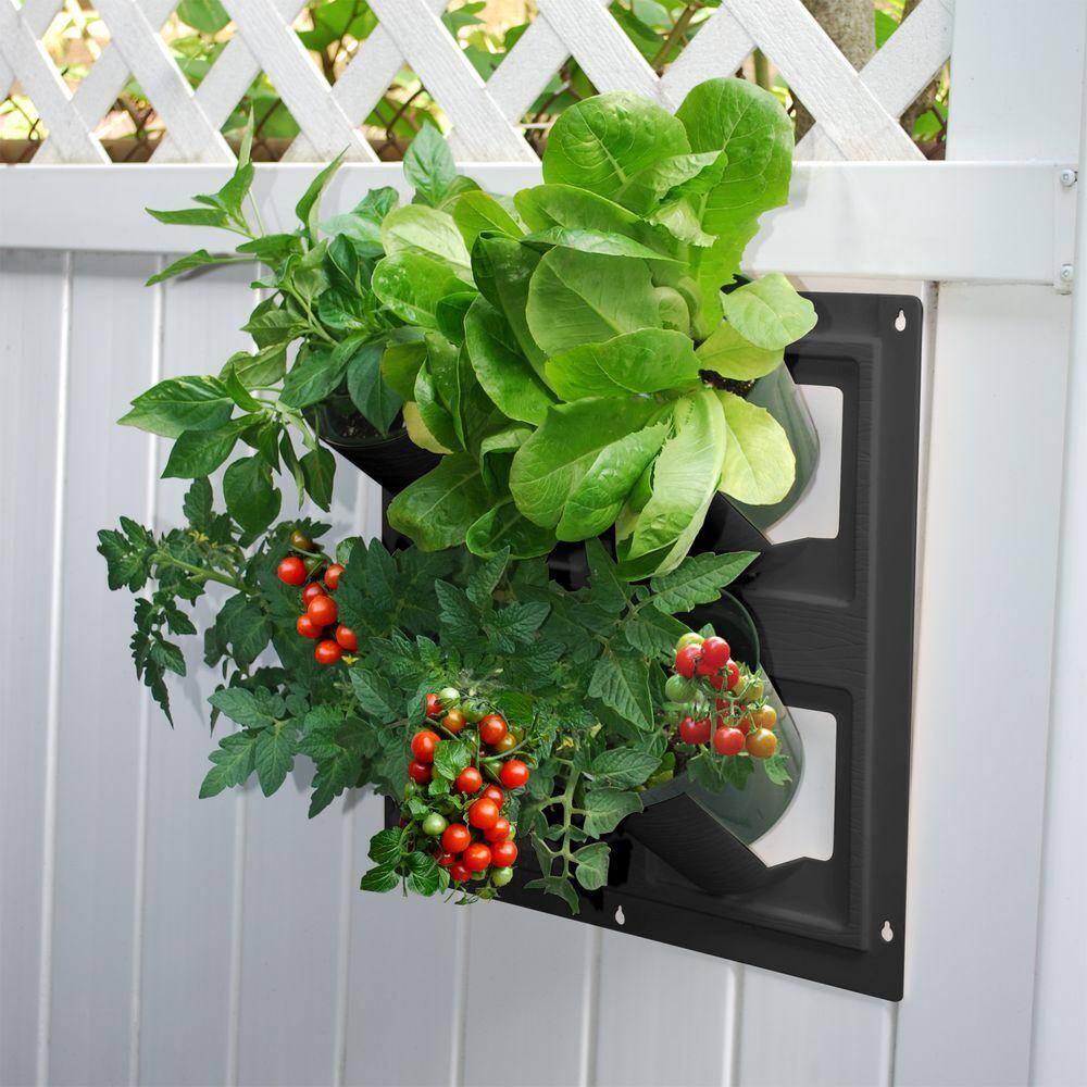 Emsco WallFlowers 17 in. Square Resin Living Wall Hanging Flower Planter in Black (4-Pot) 2492-1