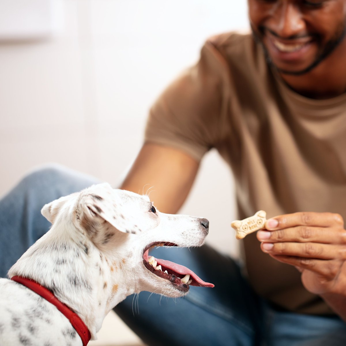 Milk-Bone Original Medium Biscuit Dog Treats