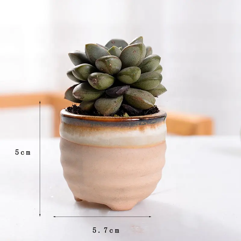 Multi Colors Creative Tabletop Decor Macetas Succulent Plants Garden Paintable Ceramic Balcony Gardening Bonsai Small Flower Pot