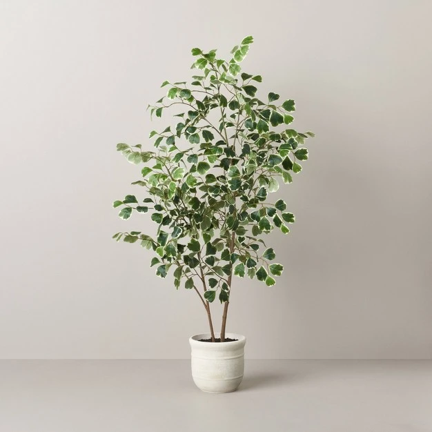 Faux Variegated Triangle Ficus Tree - Hearth and Hand With Magnolia