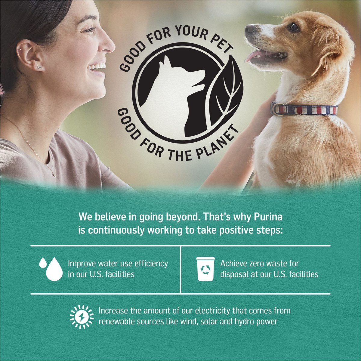 Purina Beyond Alaskan Cod， Salmon and Sweet Potato Grain-Free Canned Dog Food