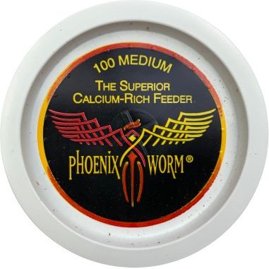 ABDragons Medium Phoenix Worms Small Pet and Reptile Food