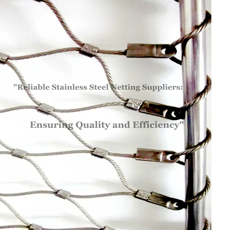 Ferruled Inox Cable Monkey Enclosure Flexible Animal Cages Ferrule Type Ss Wire Rope Mesh Netting