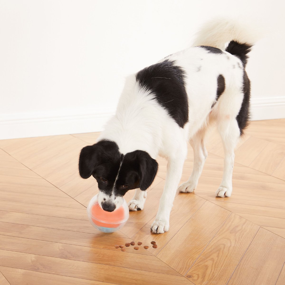 Outward Hound Dog Rumble Puzzle Ball Puzzle and Treat Maze Interactive Dog Toy， Orange