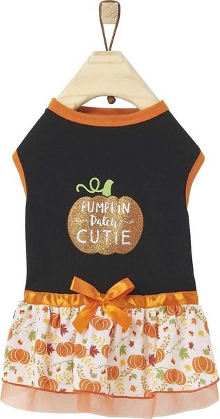 Frisco Pumpkin Patch Cutie Dog and Cat Dress