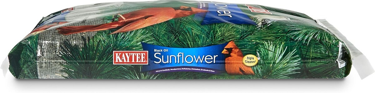 Kaytee Black Oil Sunflower Bird Food