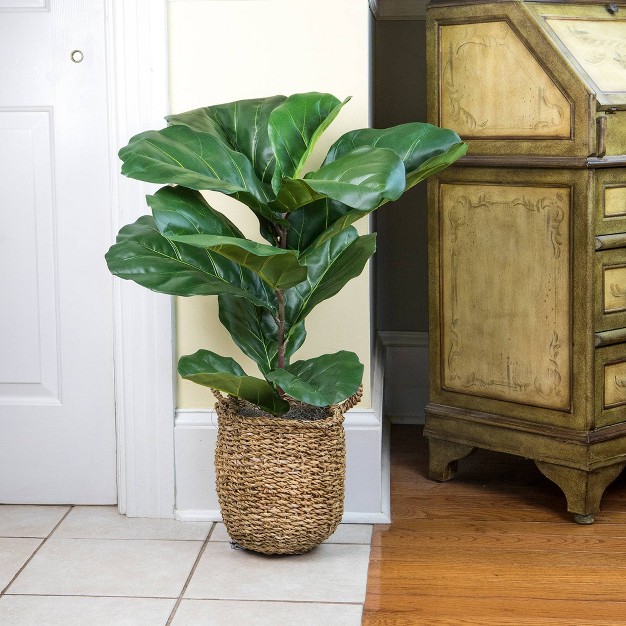 X 18 quot Artificial Fiddle Leaf Fig Plant In Basket Lcg Florals