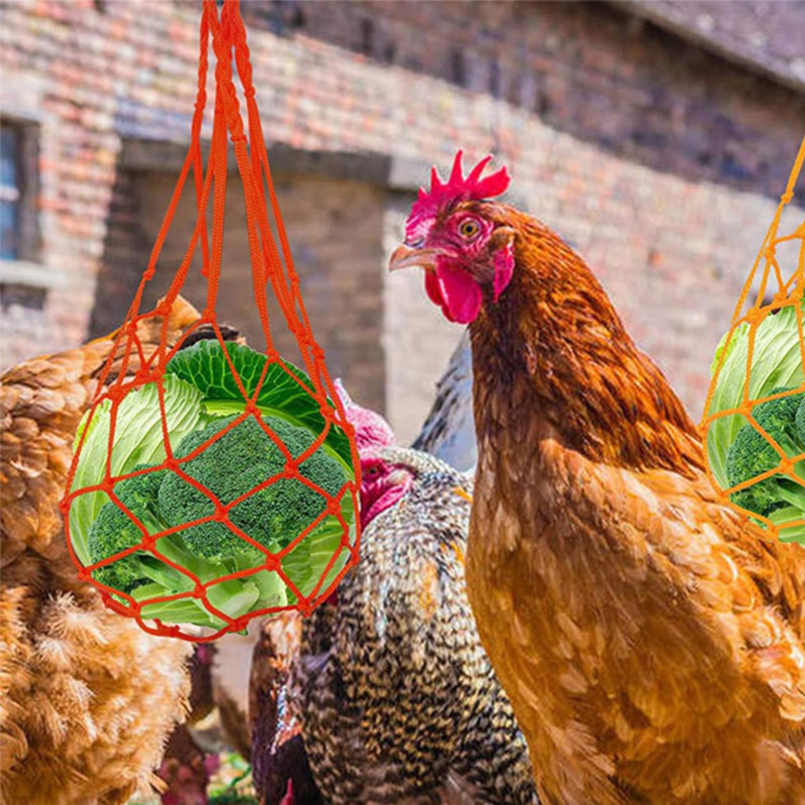 Chicken Vegetable String Bag Hanging Feeder for Large Birds Roosters Poultry red