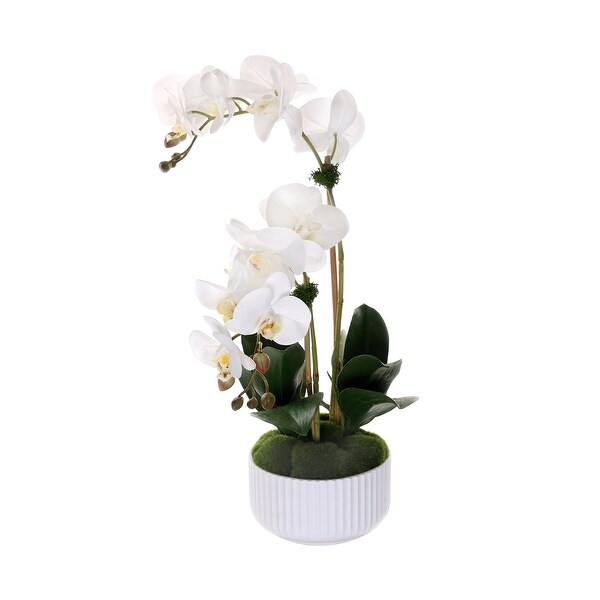 Real Touch Phalaenopsis Orchids in White Ribbed Pot