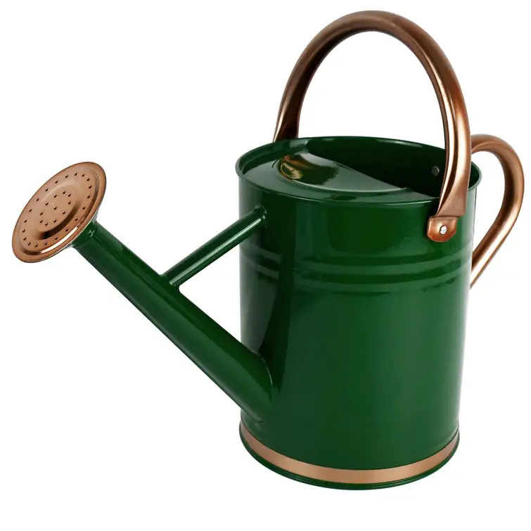 Modern Design Watering Can A Decorative Piece Perfect For Your Home Lawn   Garden Or Indoor Plants Care For Sprinkling Water