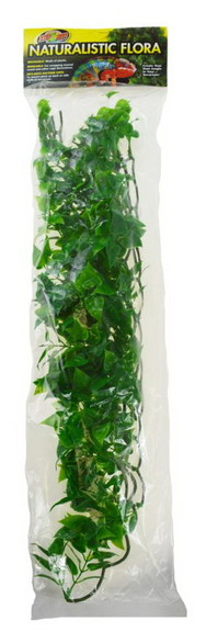 Zoo Med Mexican Phyllo Bush Plant Large  1 count  ...