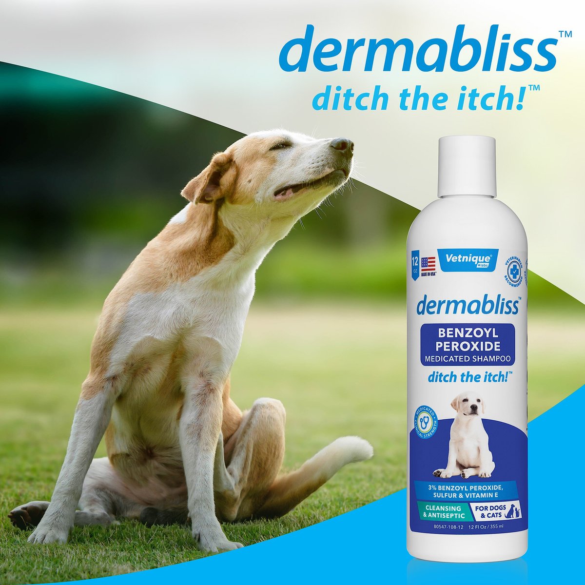 Vetnique Labs Dermabliss Fragrance-Free Benzoyl Peroxide Dog and Cat Shampoo， 16-oz bottle