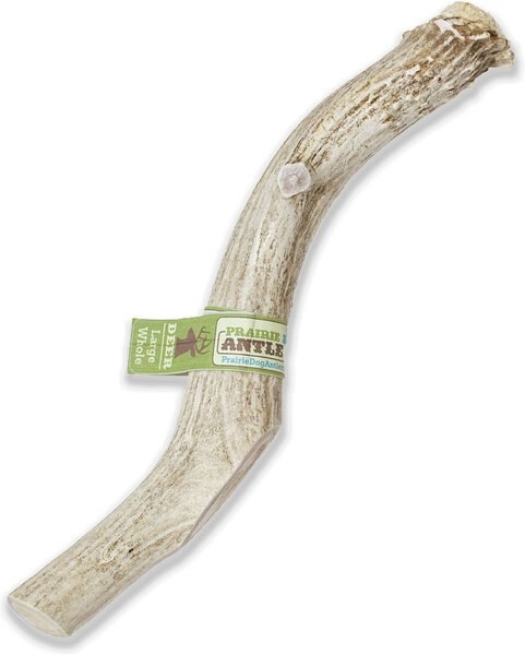 Prairie Dog Whole Deer Antler Dog Chews， 8 - 9.5 in