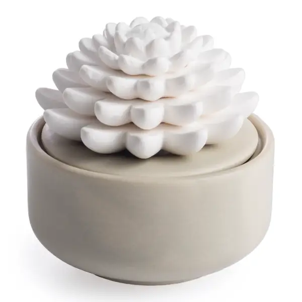 Airome Succulent Porcelain Diffuser