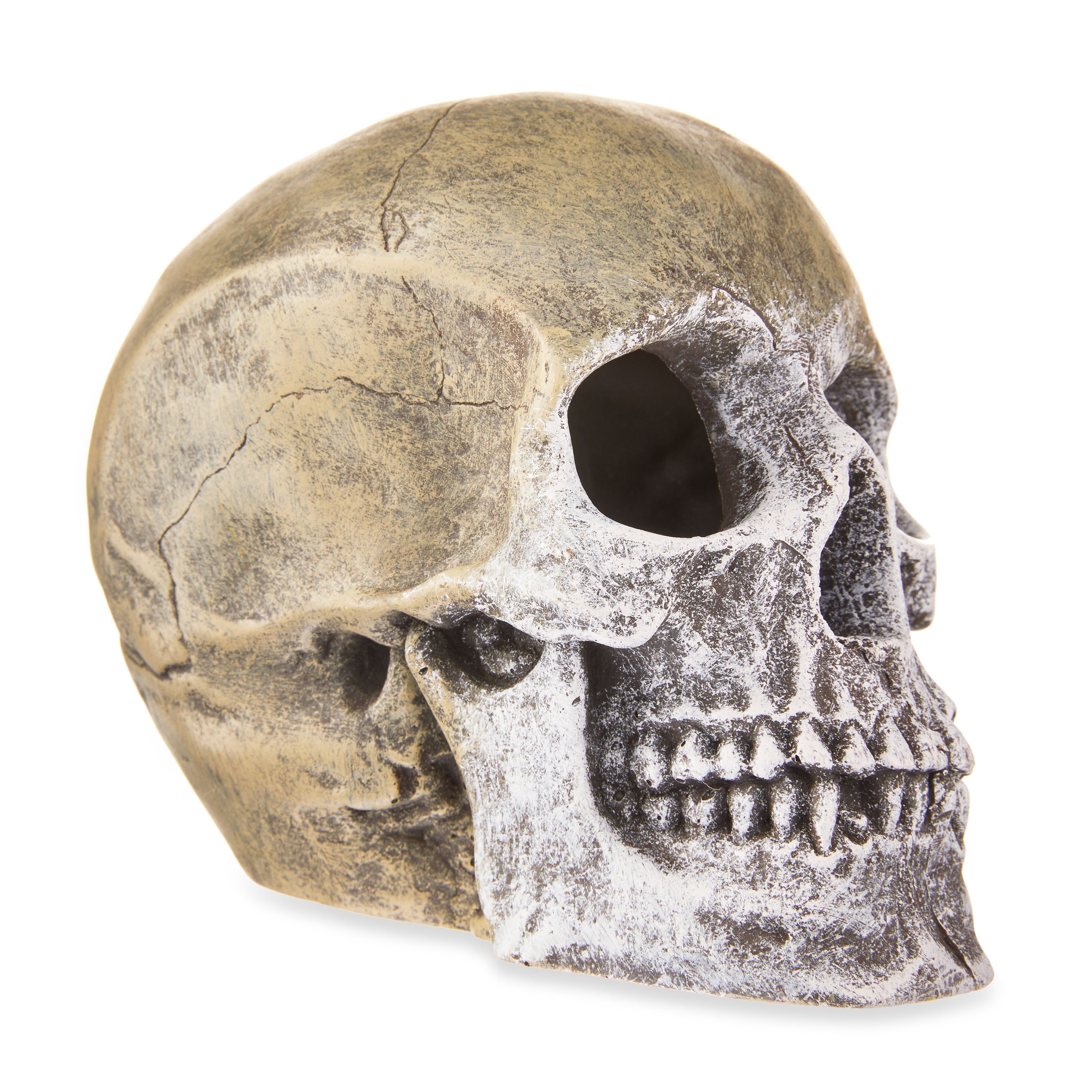 Aqua Culture Human Skull Aquarium Ornament