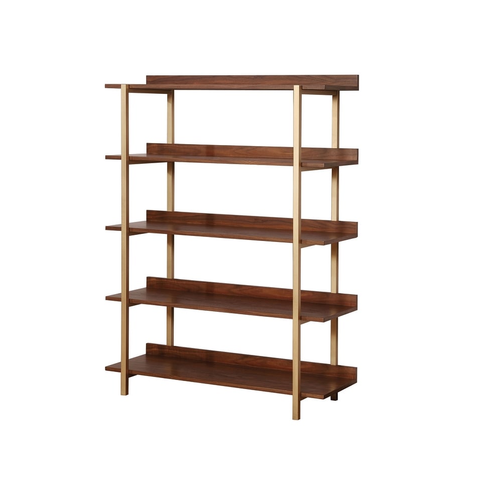 Bizi Contemporary Metal 5 Tier Display Shelf by Furniture of America