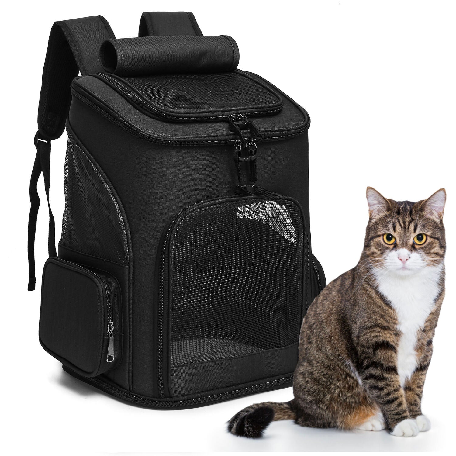 Critter Sitters Black Pet Backpack for Small Dogs， Cats with Scratch Resistant Breathable Mesh Windows | Airline Carry-On Approved | Safety Leash | Storage Pockets | Durable Transporation for Animals