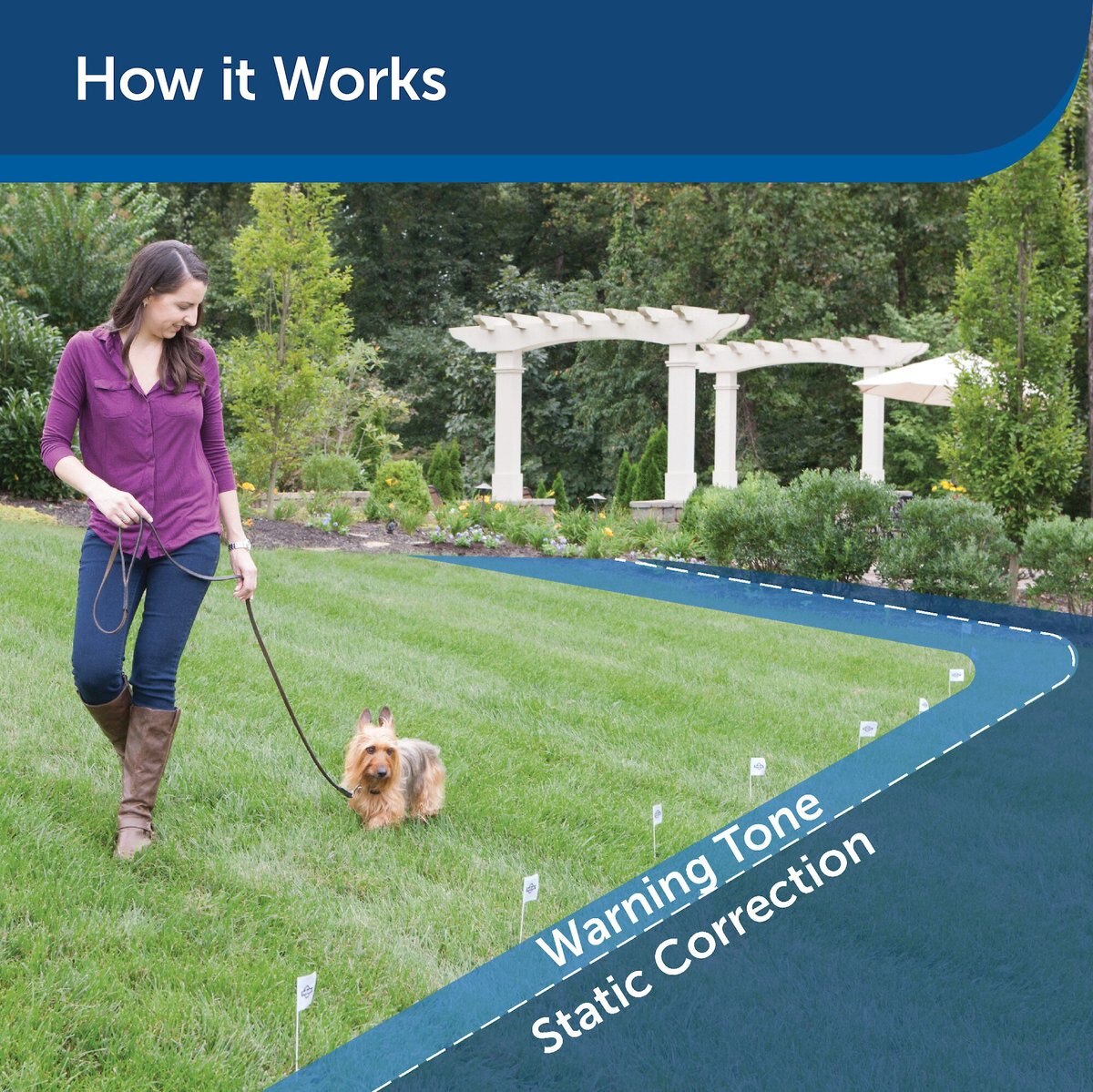 PetSafe In-Ground Fence System