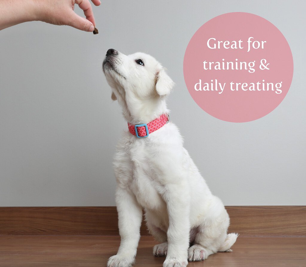 Exclusively Dog Bacon Apple Flavor Training Dog Treats