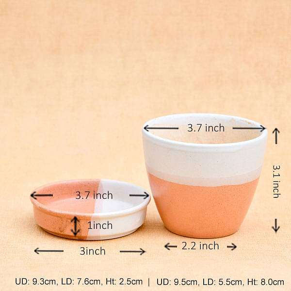 3.7 inch (9 cm) CP005 Round Egg Ceramic Pot With Plate (White, Light Peach) (set of 2)