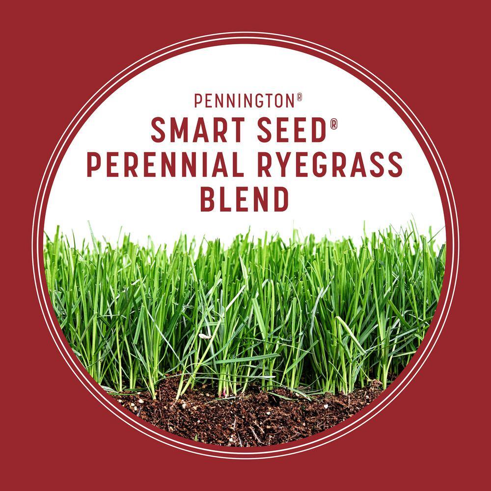 Pennington Smart Seed 3 lbs. Perennial Ryegrass Grass Seed Blend 100543717