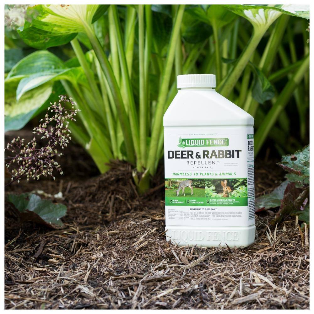 Liquid Fence 32 oz. Concentrate Deer and Rabbit Repellent HG-71106-2