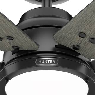 Hunter Gravity 72 in. Integrated LED Indoor Matte Black Smart Ceiling Fan with Light Kit and Remote Included 51950