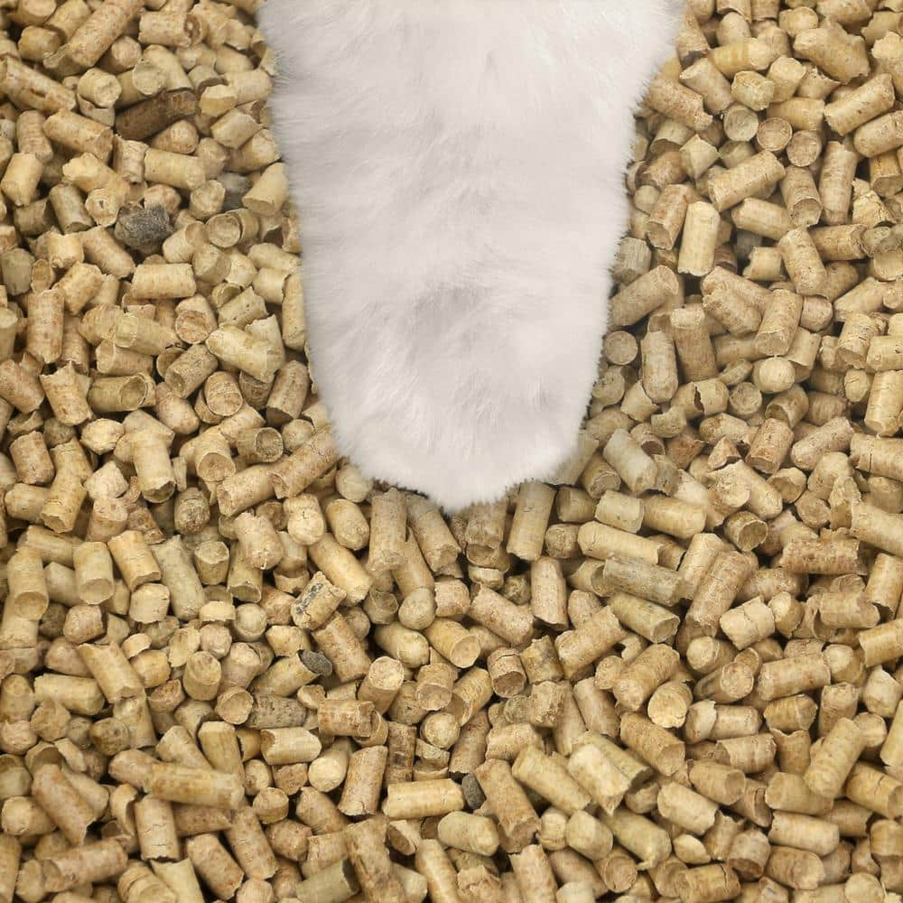 Casual Home 20 lbs. 100% Natural Pine Pellet Unscented Non-Clumping Cat Litter CL000-10