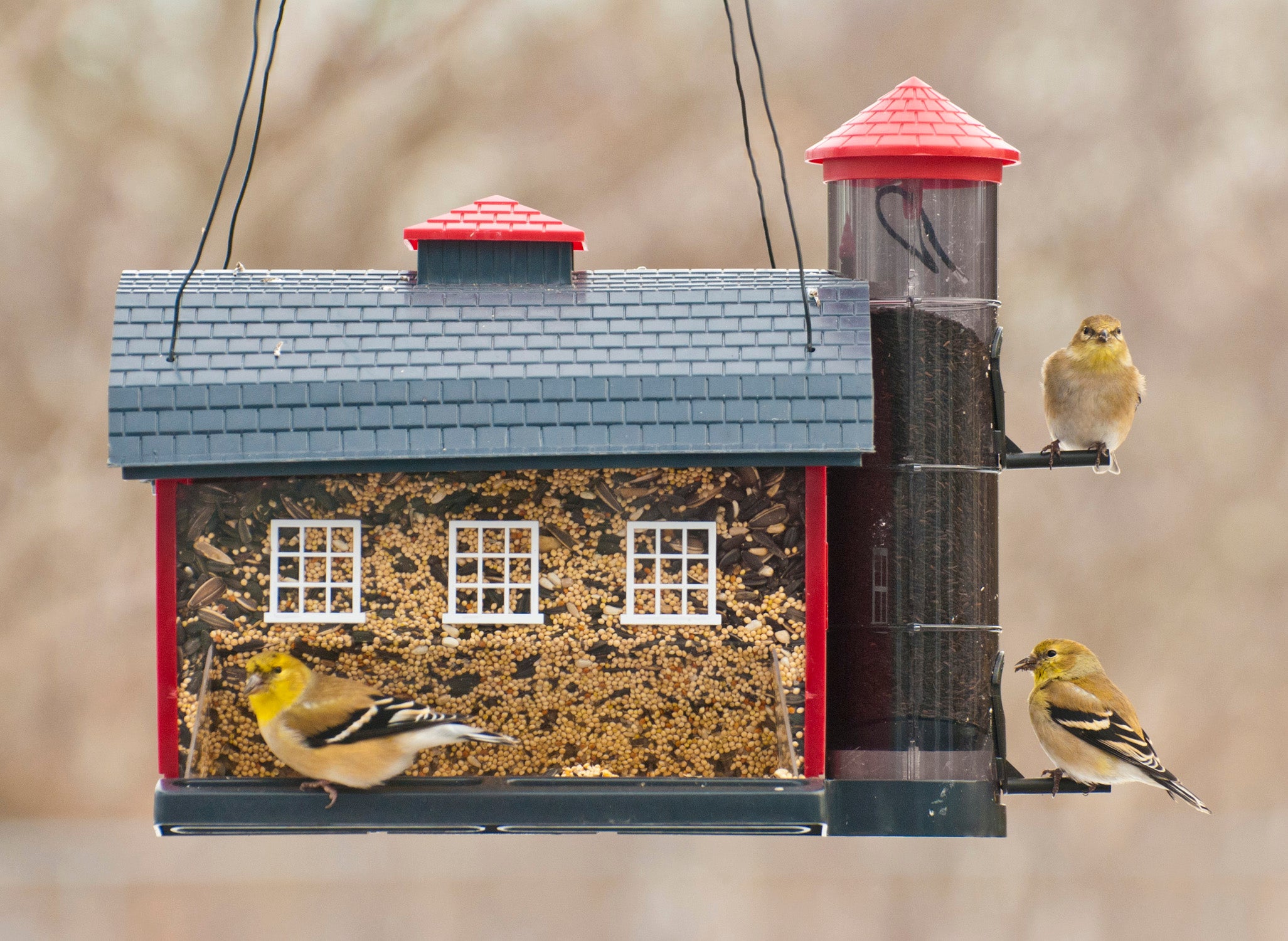 Red Barn Combo Feeder