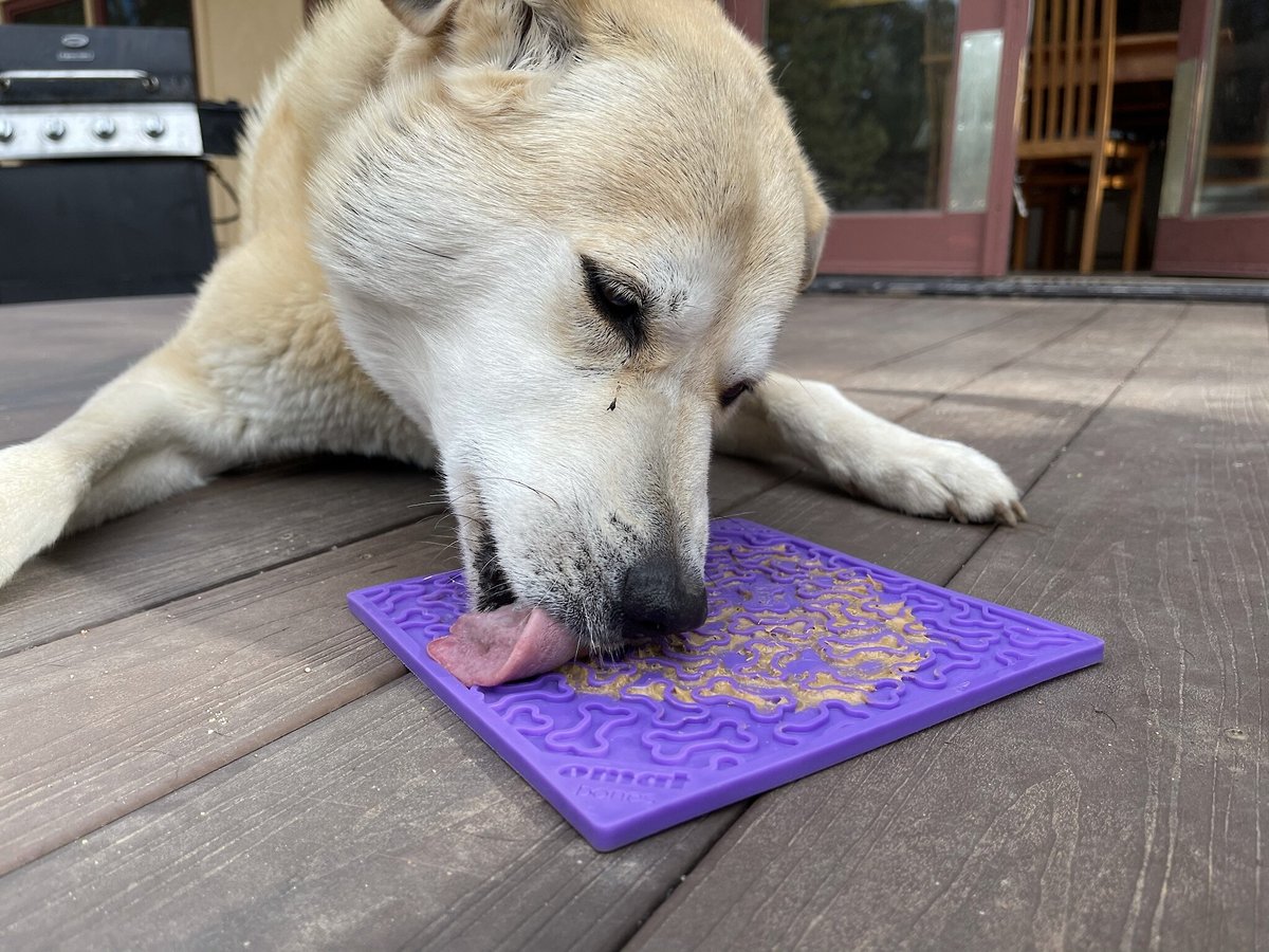 SodaPup Emat Bones Dog Lick Mat