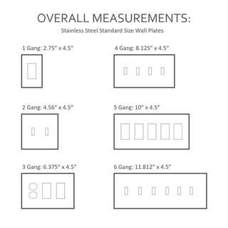 Legrand Pass  Seymour 302304 SS 2 Gang 1 Single Outlet 1 Strap Mount Blank Wall Plate Stainless Steel (1-Pack) SS147