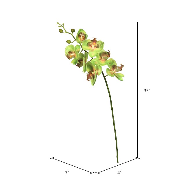 Real Touch Orchid Artificial Floral Stem