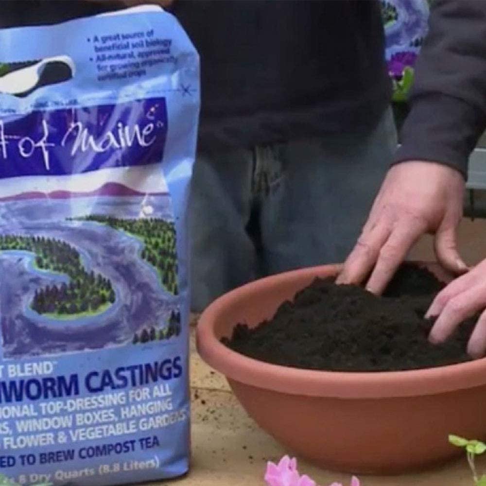 Coast of Maine OMRI Listed Wiscasset Blend Earthworm Castings Compost Potting Soil Blend for Container Gardens and Flower Pots, 8 Quart Bag 10 Pack