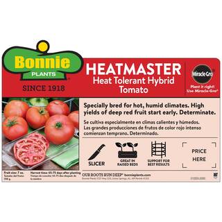 Bonnie Plants 19 oz. Heatmaster Tomato Plant 0271