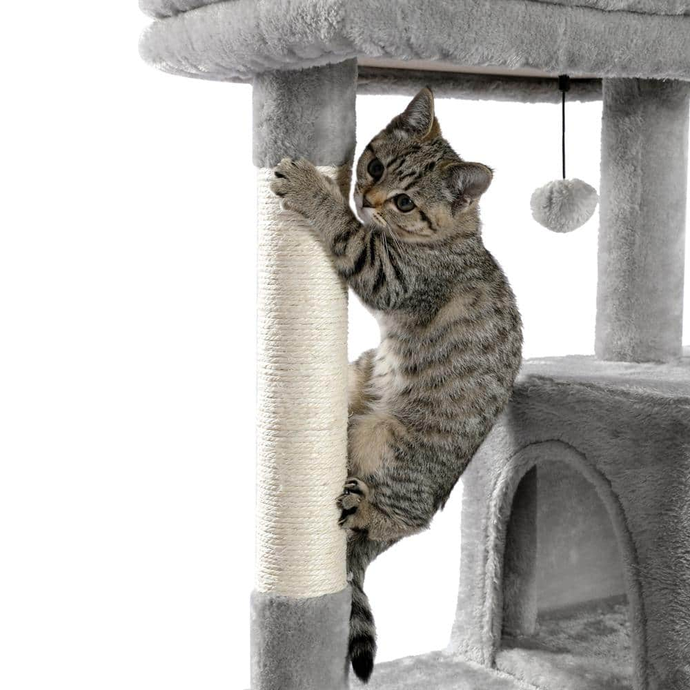 Foobrues 56.30 in. H Pet Cat Scratching Posts and Trees with Cozy Condo and Super Large Hammock in Gray LNN-P23168311