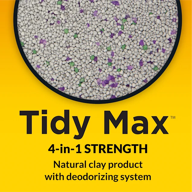 Purina Tidy Cats Clumping Max 4 in 1 Strength Multi Cat Litter， 38 lbs.