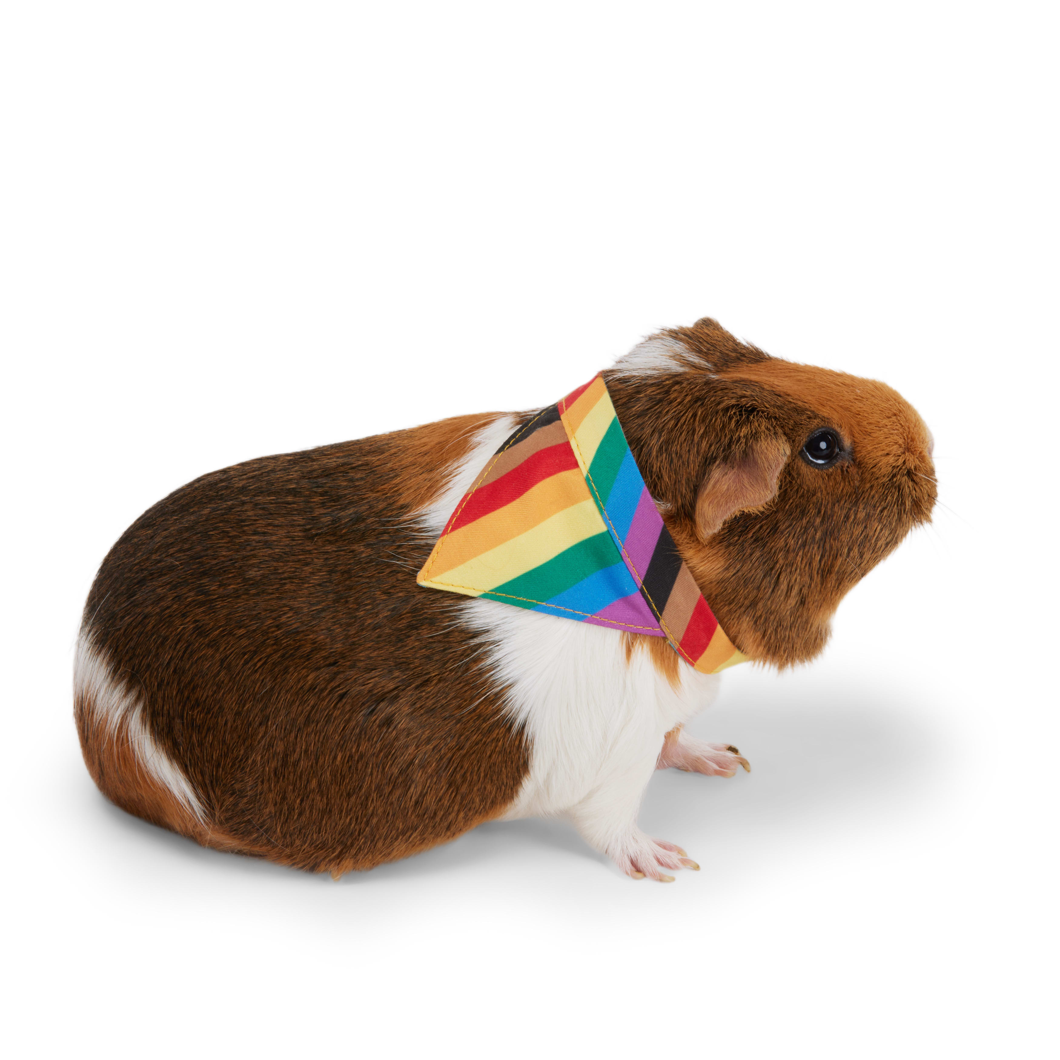 YOULY Pride Bandana for Small Animal， Small/Medium