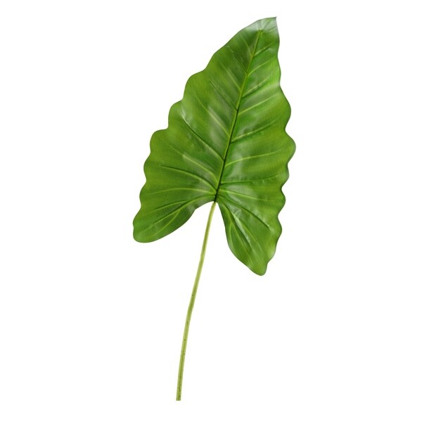 Large Philo Leaf