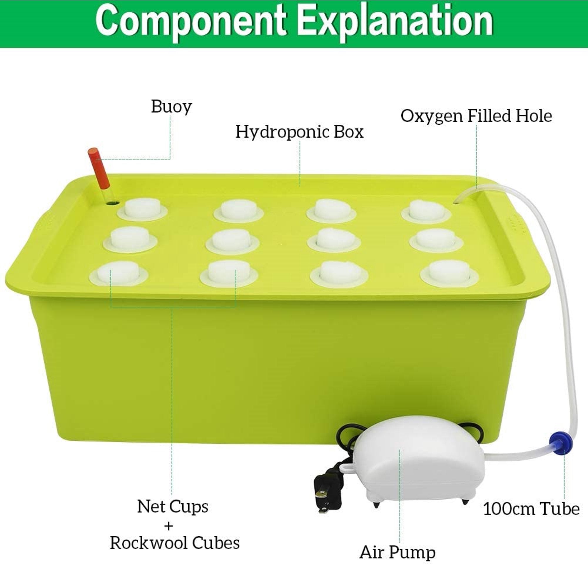 SSAWcasa Hydroponic System Growing Kit，12 Sites Bucket with Air Pump，Bubble Stone and Planting Sponges Household DWC Hydroponic System Growing Kits for Herbs，Lettuce，Vegetabls (Green)