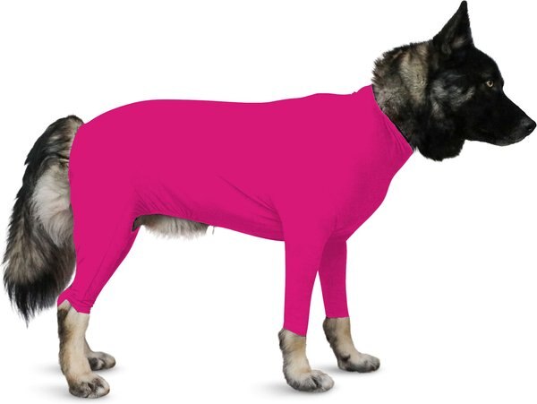 Shed Defender Sport Dog Onesie