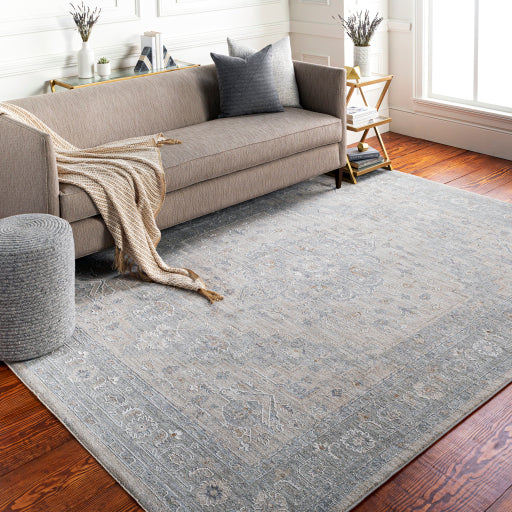 Avant Garde Traditional Light Gray Rug