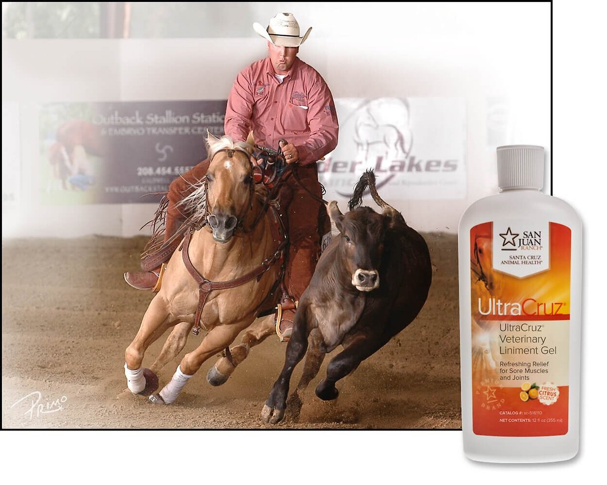 UltraCruz Veterinary Horse Liniment Gel