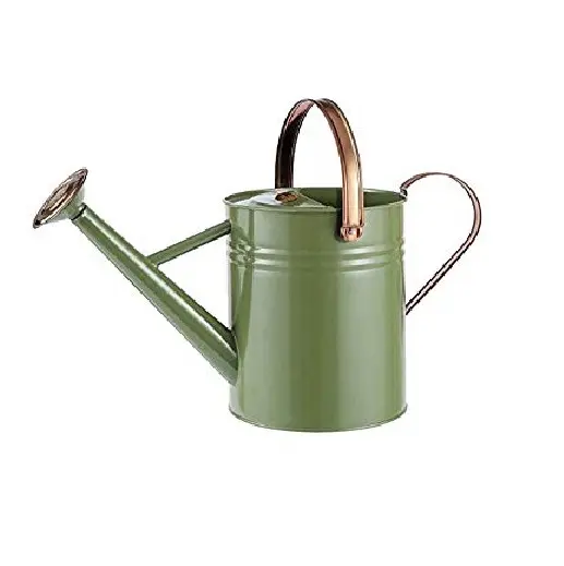 Modern Style Watering Canes Stainless Steel Watering Can For Indoor Outdoor Garden Flower Garden Supplies Water Plant