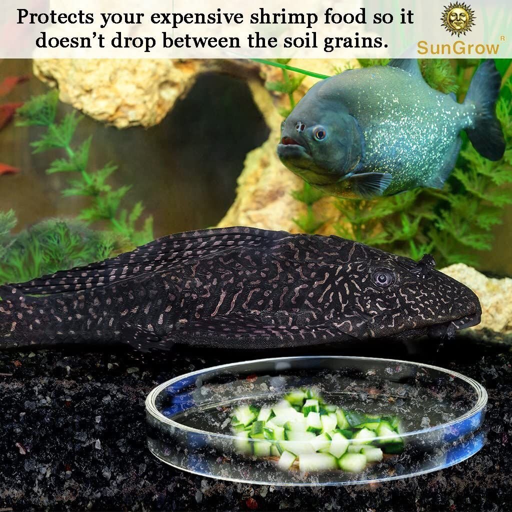 SunGrow Bottom Feeder and Shrimp Feeding Dish， Sinking Fish Food and Reptile Water Bowl