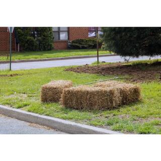 BELL NURSERY Mini Straw Bales 8 in. x 10 in. x 16 in. STRAWMINI1PK