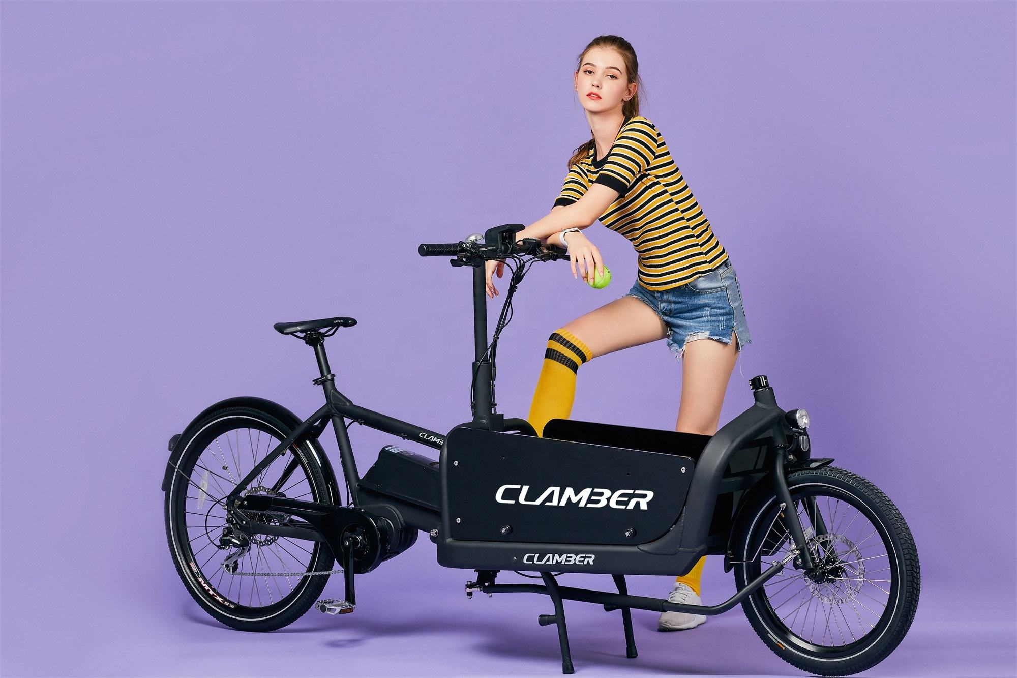 new design adult Electric Cycle  Electric pets bicycle longtails cargo bike