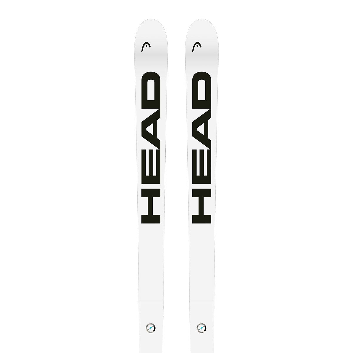 2025 HEAD WCR E-SG Rebel FIS Skis