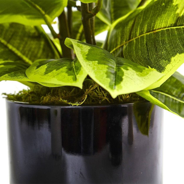 Nearly Natural 2-ft Rubber Plant In Glossy Cylinder (real Touch)