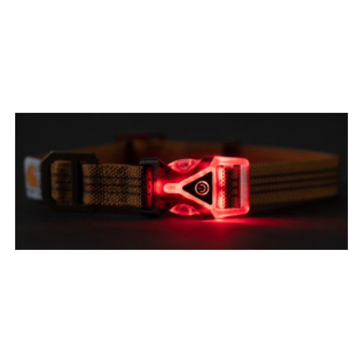 Carhartt Lighted Dog Collar