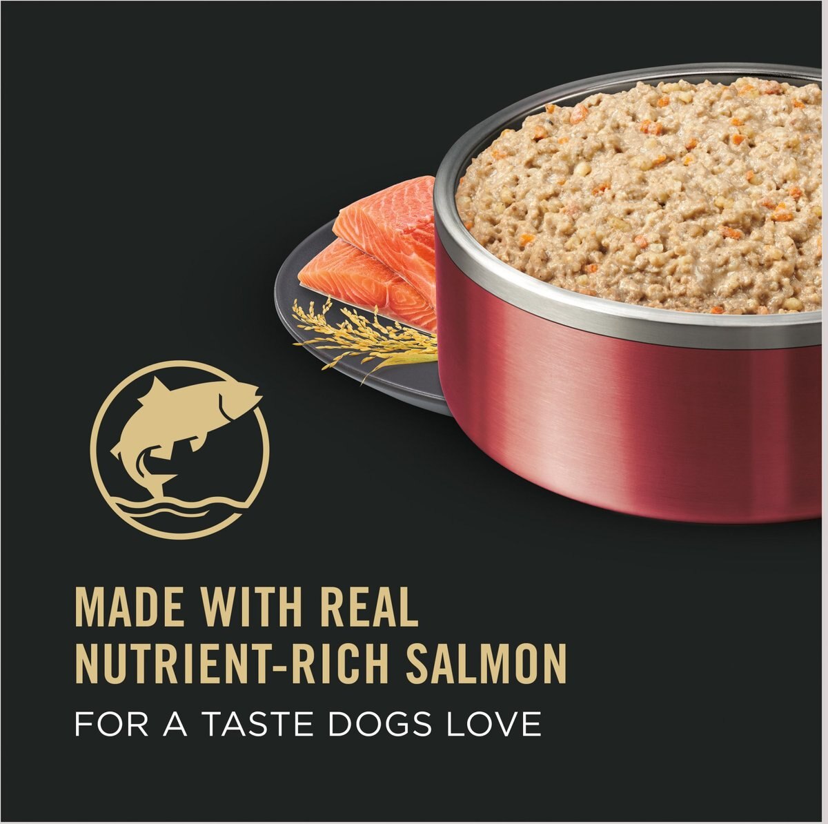 Purina Pro Plan Focus Adult Classic Sensitive Skin and Stomach Salmon and Rice Entree Canned Dog Food